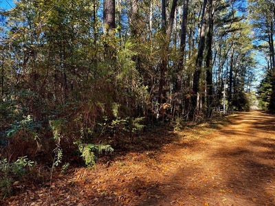 /international/us/folly-creek-club-ln-lot-19-accomac-va-110103525049/