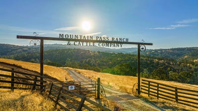 /international/us/15250-lanford-pacheco-road-valley-springs-ca-110088763820/