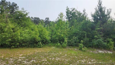 /international/us/398-dogwood-trail-lumber-bridge-nc-110100036970/?lang=zh-tw