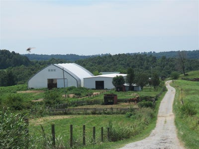 /international/us/5550-blackgold-road-sweeden-ky-110107030916/