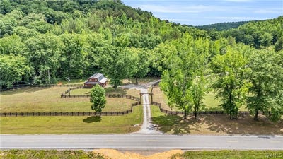 /international/us/16060-us-278-beaverton-al-110108467550/