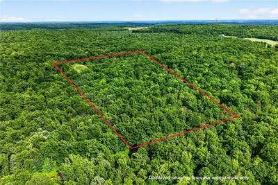 /international/us/shady-lane-trego-wi-110108739919/