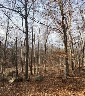 /international/us/6-fred-johnson-circle-lot-17-middlebury-vt-110104294468/