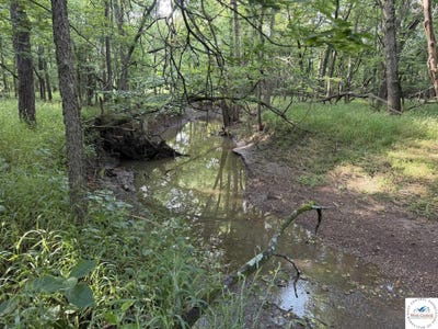 /international/us/sw-1601-road-montrose-mo-110108684555/