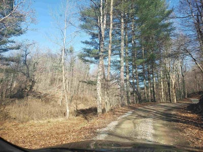 /international/us/100-steve-rosier-road-lot-mount-zion-road-parsons-wv-110102731659/
