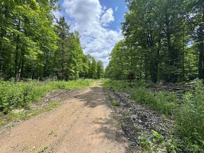 /international/us/33-acres-off-bates-amasa-crystal-falls-mi-110101052147/?lang=zh-tw