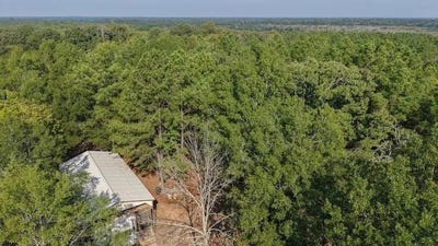 /international/us/0000-cr-3401-de-kalb-tx-110107339749/