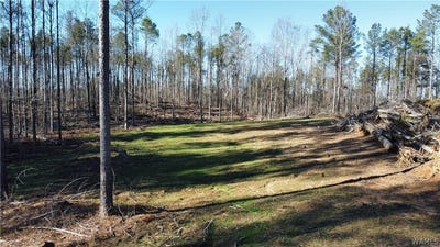 /international/us/1-county-road-83-oakman-al-110107940939/