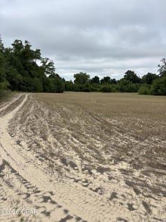 /international/us/blue-springs-road-greenwood-fl-110110267622/