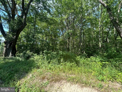 /international/us/chesterville-forest-road-millington-md-110101257998/?lang=zh-tw