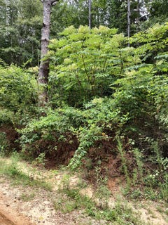 /international/us/no-lakeshore-drive-lot-160-lumberton-ms-110101816637/