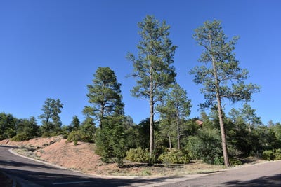 /international/us/e-pine-ridge-drive-lot-19-star-valley-az-110085092130/
