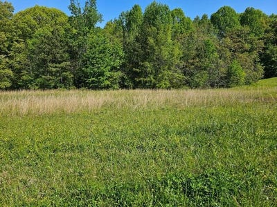 /international/us/0-county-road-321-lot-7-niota-tn-110101450617/?lang=zh-tw