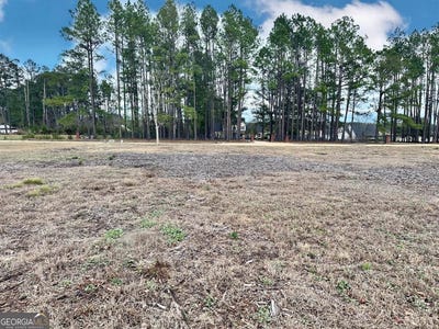 /international/us/0-southside-drive-blackshear-ga-110106277552/