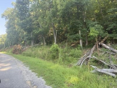 /international/us/tracts-7-9-carroll-hollow-rd-lot-7-8-9-waynesboro-co-110120510757/
