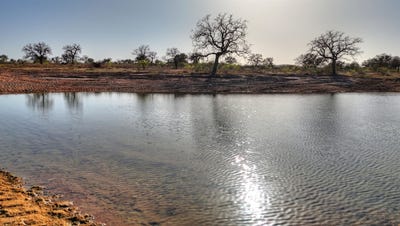 /international/us/6540-cr-409-valley-spring-tx-110098350482/
