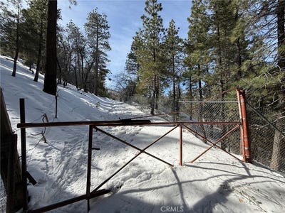 /international/us/0-linnet-road-wrightwood-ca-110105956577/