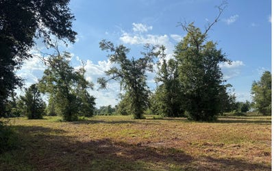 /international/us/tbd-89th-road-live-oak-fl-110101243732/?lang=zh-cn