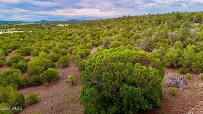 /international/us/tbd-n3218-9-24-acres-lot-a-vernon-az-110094116380/