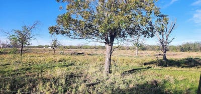/international/us/201-orchard-lane-lot-12-13-14-mertzon-tx-110103503914/