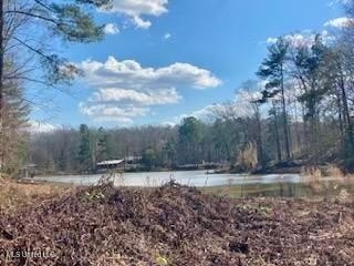 /international/us/turkey-creek-road-lot-13-natchez-ms-110108985031/