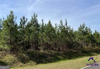 /international/us/lot-6-whitfield-elko-ga-110100563745/