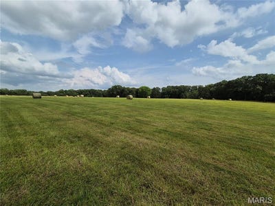 /international/us/0-s-mill-creek-rd-17-acres-new-florence-mo-110101099320/?lang=zh-tw