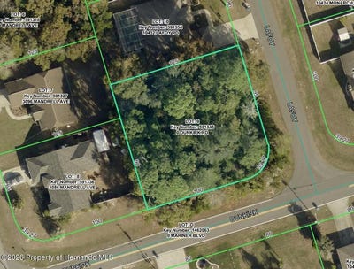 /international/us/dunkirk-road-spring-hill-fl-110108588270/