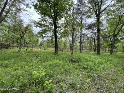 /international/us/lot-2-avenue-elysburg-pa-110097879220/?lang=zh-tw