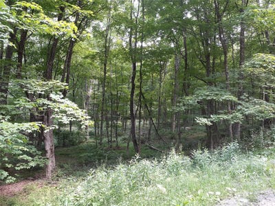 /international/us/1407-eminence-road-east-branch-ny-110097936511/