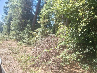 /international/us/redwood-dr-harleton-tx-110120086266/