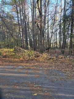 /international/us/freeman-street-lot-12-brunson-sc-110106614032/