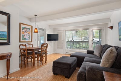 /international/us/916-e-hopkins-avenue-aspen-co-110107455690/