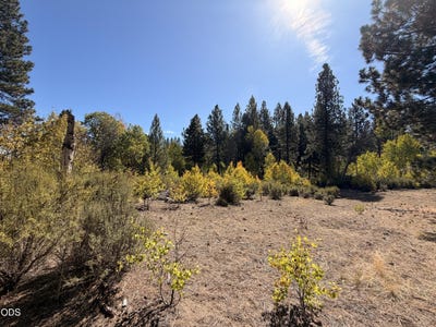 /international/us/highway-97-chiloquin-or-110120516846/