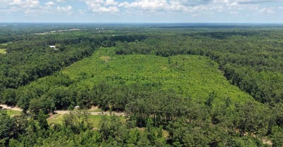 /international/us/0-hwy-22-shiloh-tn-110109012806/?lang=th