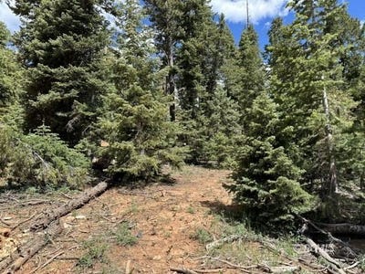 /international/us/1065-e-redwood-duck-creek-village-ut-110101177115/?lang=zh-cn