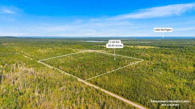 /international/us/v-l-38-46a-e-gill-road-carp-lake-mi-110104779717/