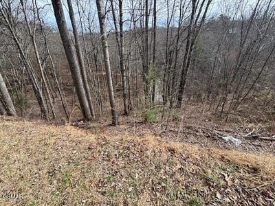 /international/us/sky-view-lot-s-444-a-sevierville-tn-110108495518/