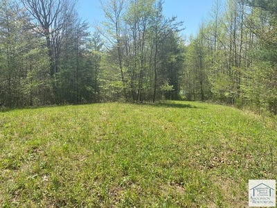 /international/us/oak-hollow-rd-lot-3-woolwine-va-110098967382/