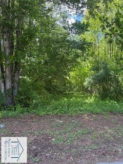 /international/us/fairystone-park-highway-stuart-va-110108295673/