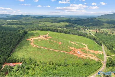 /international/us/7340-county-road-6-piedmont-al-110106783048/