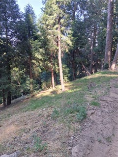 /international/us/61-evergreen-drive-cedarpines-park-ca-110100528723/?lang=zh-tw