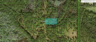 /international/us/n-a-polk-city-fl-110094195656/?lang=en