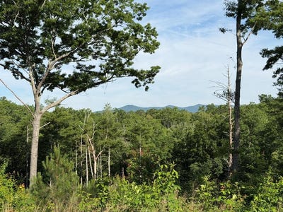 /international/us/lt-304-greenwood-court-ellijay-ga-110108608811/