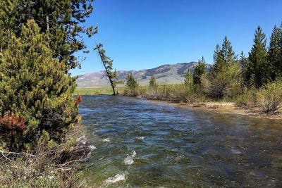 /international/us/90-cabin-creek-rd-sawtooth-city-id-110109138081/