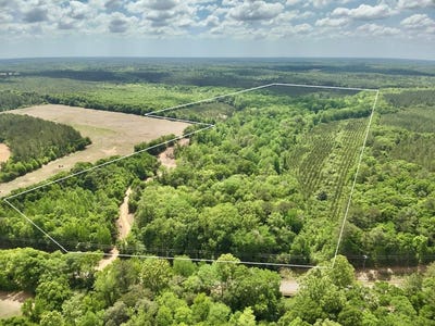/international/us/105-acres-county-road-16-hartford-al-110107462410/