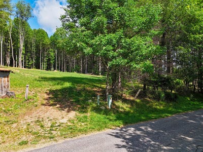 /international/us/tbd-dogwood-ln-willis-va-110109242575/