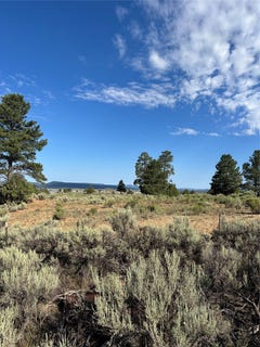 /international/us/tbd-hwy-573-tierra-amarilla-nm-110101238642/?lang=pt