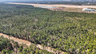 /international/us/saracennia-point-moss-point-ms-110104093180/