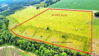 /international/us/3690-n-highway-121-blackshear-ga-110101459090/?lang=en
